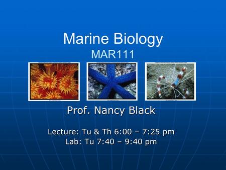 Marine Biology MAR111 Prof. Nancy Black Lecture: Tu & Th 6:00 – 7:25 pm Lab: Tu 7:40 – 9:40 pm.