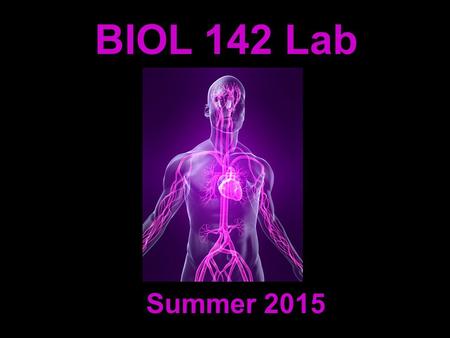 BIOL 142 Lab Summer 2015. Michelle Smith   Instructor: Contact Information: