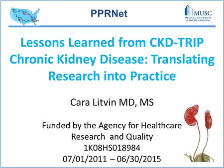 PPRNet Lessons Learned from CKD-TRIP Chronic Kidney Disease: Translating Research into Practice Cara Litvin MD, MS Funded by the Agency for Healthcare.