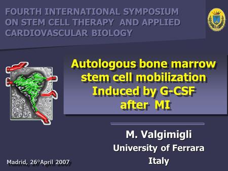 M. Valgimigli University of Ferrara Italy Autologous bone marrow stem cell mobilization Induced by G-CSF after MI Autologous bone marrow stem cell mobilization.