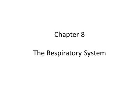 Chapter 8 The Respiratory System