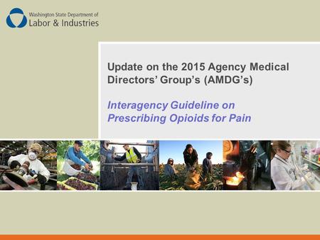 Update on the 2015 Agency Medical Directors’ Group’s (AMDG’s) Interagency Guideline on Prescribing Opioids for Pain.