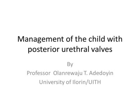 Management of the child with posterior urethral valves