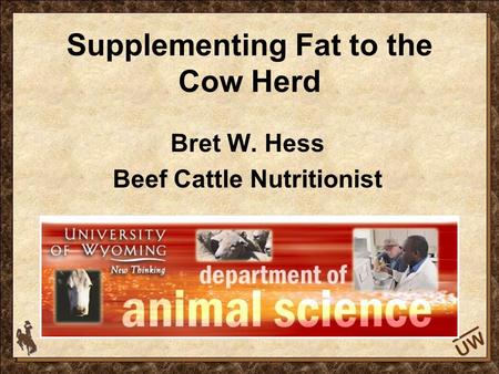 UW Supplementing Fat to the Cow Herd Bret W. Hess Beef Cattle Nutritionist.