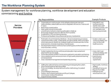 0 Organisational workforce plan which reflects professional roles and responsibilities, patient pathways and is integrated with service, finance and IT.