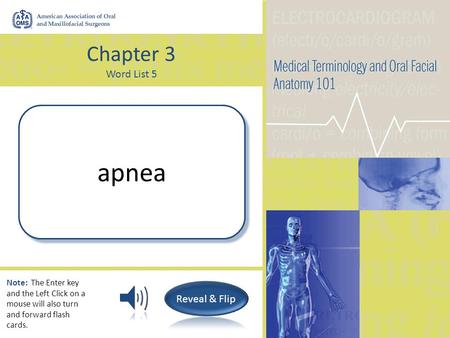 Chapter 3 Word List 5 Without breath apnea Note: The Enter key and the Left Click on a mouse will also turn and forward flash cards.