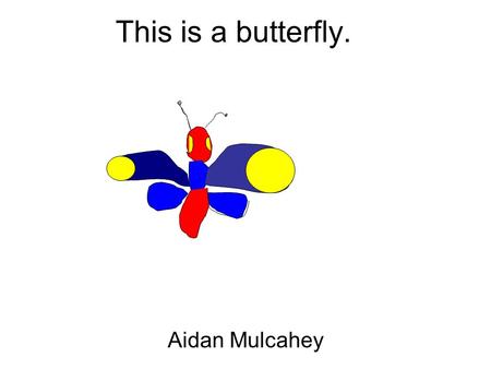 This is a butterfly. Aidan Mulcahey. This is a butterfly. Aiden Dively.