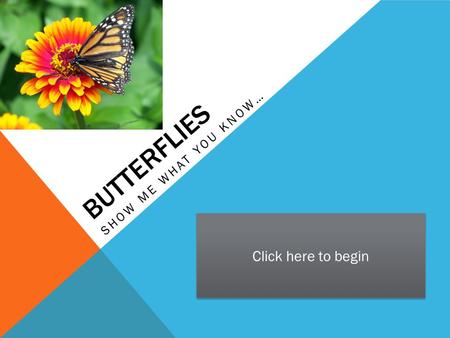 BUTTERFLIES SHOW ME WHAT YOU KNOW… Click here to begin.