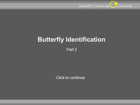 N Armenia Butterfly Conservati Butterfly Identification Part 2 Click to continue.
