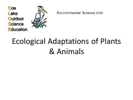 ecological adaptation of plants