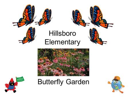 Hillsboro Elementary Butterfly Garden. Our butterfly garden will be… A place where we can watch and learn about butterflies A place where butterflies.