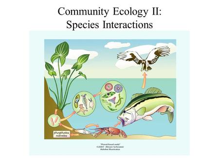 Community Ecology II: Species Interactions. Ecological communities: Assemblages of two or more species living and interacting in the same area. Species.
