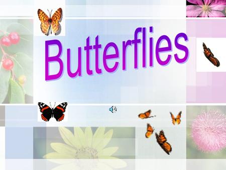 Habitats – Monarch Activity – create a chrysalis! – More games and activities from the web! Monarch Butterfly Life cycle Graph – how much time is spent.