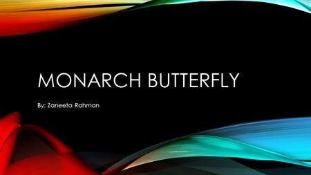 Monarch butterfly By: Zaneeta Rahman.