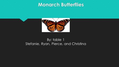 Monarch Butterflies By: table 1 Stefanie, Ryan, Pierce, and Christina.