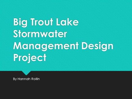 Big Trout Lake Stormwater Management Design Project By Hannah Rollin.