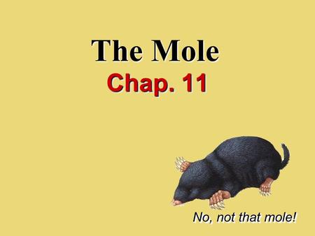 The Mole Chap. 11 No, not that mole!. I.Counting Particles.