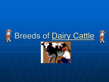 Breeds of Dairy Cattle.