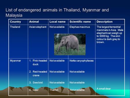 List of endangered animals in Thailand, Myanmar and Malaysia CountryAnimalLocal nameScientific nameDescription ThailandAsian elephantNot availableElephas.