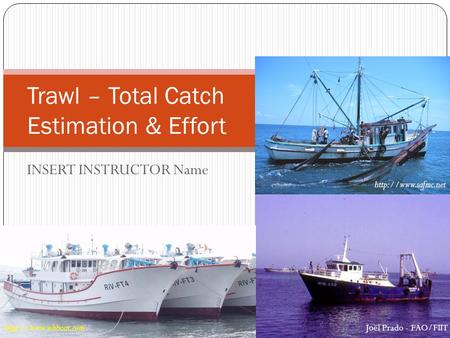 INSERT INSTRUCTOR Name Trawl – Total Catch Estimation & Effort  Joël Prado - FAO/FIIT