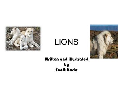 LIONS Written and illustrated by Scott Kosin. 2 Table Of Contents How much do females weigh? 3 How much do males weigh? 4 How big are it’s teeth? 5 How.