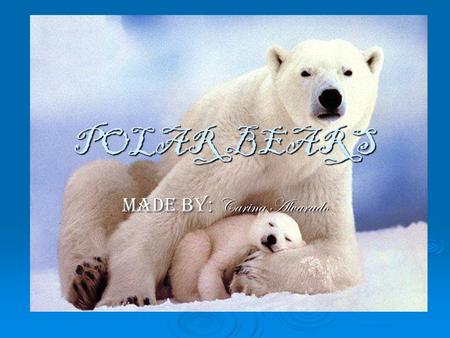 POLAR BEARS Made by : Carina Alvarado. Basic information on Polar Bears  The polar bear is a bear native to the Arctic Ocean and its surrounding seas.