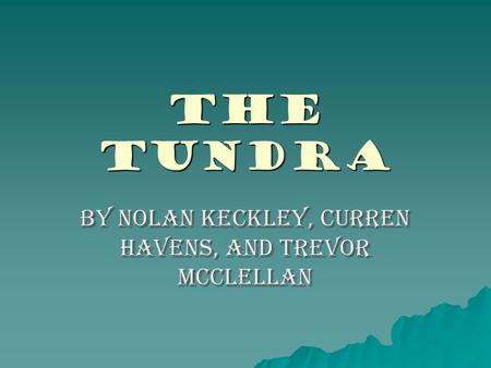 The Tundra By Nolan Keckley, Curren Havens, and Trevor McClellan.