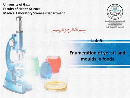 Lab 5: Enumeration of yeasts and moulds in foods.