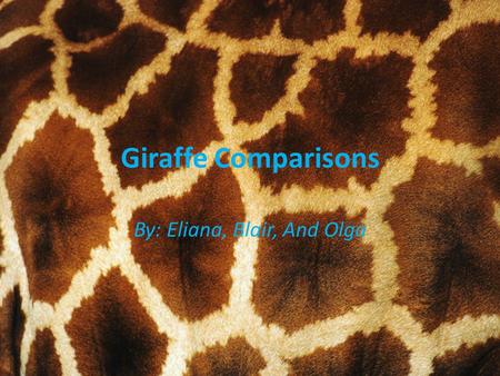 Giraffe Comparisons By: Eliana, Blair, And Olga. Pictures/Charts When you see this picture the information is about the White Giraffe in the book. When.