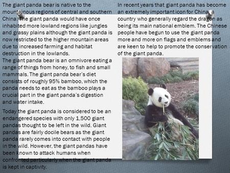 The giant panda bear is native to the mountainous regions of central and southern China. The giant panda would have once inhabited more lowland regions.