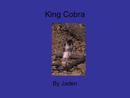 King Cobra By Jaden. Table of Contents 1food 2 Interesting facts 3 habitat 4 enemies 5 description 6 type of animal 7 communication 8 would this animal.