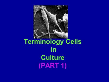 Terminology Cells in Culture (PART 1). Introduction Cell Culture: the cultivation or growth of cells outside of the host organism Advantage: Allows direct.