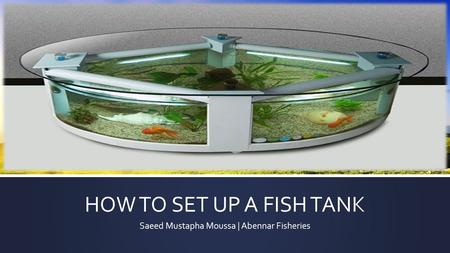 HOW TO SET UP A FISH TANK Saeed Mustapha Moussa | Abennar Fisheries.