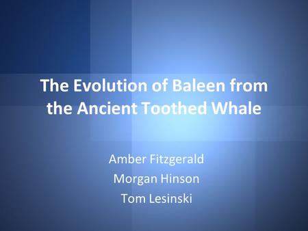 The Evolution of Baleen from the Ancient Toothed Whale Amber Fitzgerald Morgan Hinson Tom Lesinski.