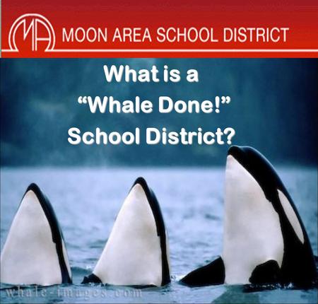 What is a “Whale Done!” School District?
