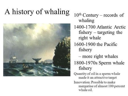 A history of whaling 10th Century – records of whaling
