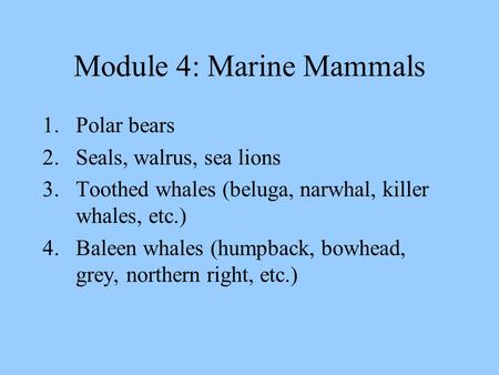 Module 4: Marine Mammals 1.Polar bears 2.Seals, walrus, sea lions 3.Toothed whales (beluga, narwhal, killer whales, etc.) 4.Baleen whales (humpback, bowhead,