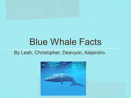 Blue Whale Facts By Leah, Christopher, Deavyon, Alejandro.