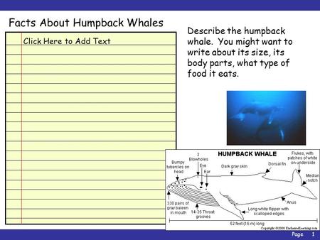 Page1 Facts About Humpback Whales Click Here to Add Text Describe the humpback whale. You might want to write about its size, its body parts, what type.