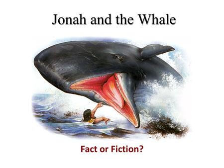 Jonah and the Whale Fact or Fiction?.