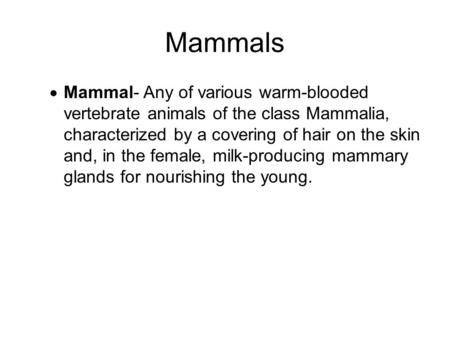 Mammals  Mammal- Any of various warm-blooded vertebrate animals of the class Mammalia, characterized by a covering of hair on the skin and, in the female,