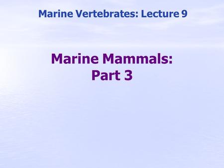 Marine Mammals: Part 3 Marine Vertebrates: Lecture 9.