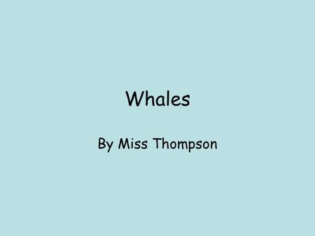 Whales By Miss Thompson. Contents Habitat Appearance Types of Whale Prey / Predators Sources of Information.