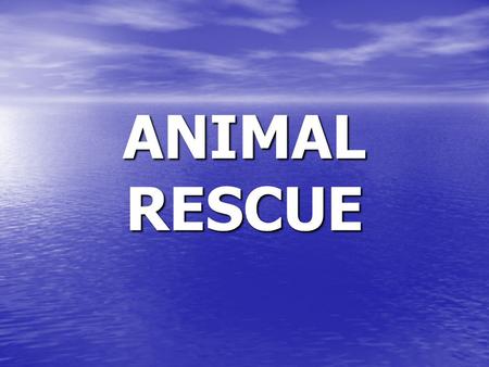 ANIMAL RESCUE. VOCABULARY RESCUED saved from danger I rescued a dog that was caught in a trap.