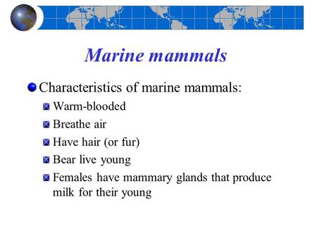 Marine mammals Characteristics of marine mammals: Warm-blooded Breathe air Have hair (or fur) Bear live young Females have mammary glands that produce.