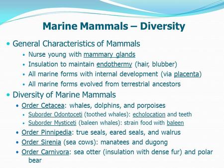 Marine Mammals – Diversity General Characteristics of Mammals Nurse young with mammary glands Insulation to maintain endothermy (hair, blubber) All marine.