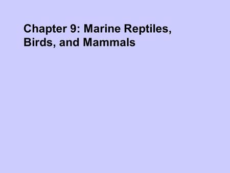 Chapter 9: Marine Reptiles, Birds, and Mammals. Vertebrates 350 m.y.a. vertebrates invaded land Decendents of bony fish Land vertebrates had to adapt.