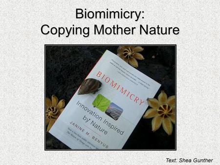 Biomimicry: Copying Mother Nature Text: Shea Gunther.