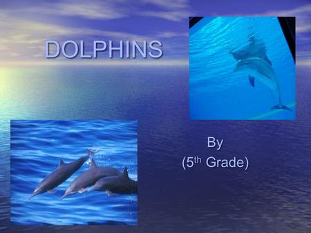 DOLPHINS By (5 th Grade) By (5 th Grade) BiomeBiome Dolphins live in the Aquatic Biome. This biome can be broken down into two basic regions: Freshwater.