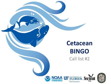 Cetacean BINGO Call list #2. Lesson 3 Researching Individual Whale and Dolphin Species 1. These dolphins are commonly found in zoos and aquaria. One female.